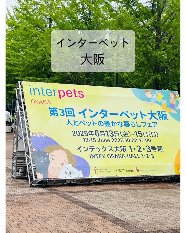 🐾

こんにちは、東です！
先日15日(日)インターペット大阪にて、犬の整体研究所の卒業生として初参加をさせていただきました✨

10頭近くのわんちゃんを施術させていただきました🧡
緊張をしていた子も飼い主様の前で少しずつリラックスしてくれるようになり、最終的には目を閉じてウトウトする子も…☺️
みんなとってもお利口さんでした✨

そして幼稚園生のひまわりちゃんが会いに来てくれ、急遽施術をさせていただく事になりました😭
ひまわりちゃん、ひまわりちゃんママありがとうございました✨

お知らせ投稿にコメントをくださった方、温かいお言葉を掛けてくださった方、ありがとうございました💕

🐾

#犬の幼稚園
#犬の幼稚園deepdog 
#チワワ
#インターペット大阪
#犬の整体
#犬の整体研究所
