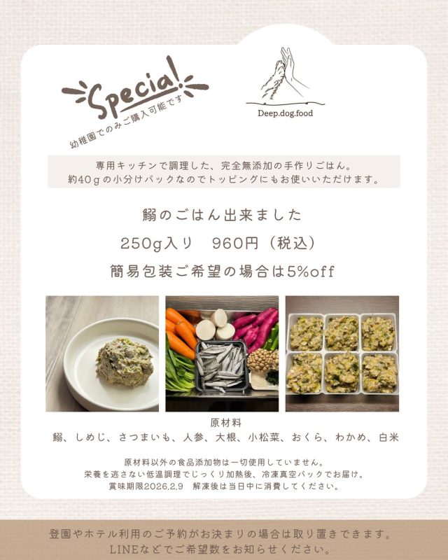 ・

幼稚園で手作りごはんの販売を開始しました🧑‍🍳

第一弾は、鰯のごはん🐟

幼稚園生たちの体の健康も応援したいという想いから、ペットの食育士の資格も持つオーナー堤が、完全手作りで手間とひまをかけ、そして愛情をたっぷり入れて作っております🧑‍🍳
農林水産省届出済みのキッチンで製造。

製造量に限りがあるため、現在はネット販売は中止しており、幼稚園でのみご購入いただけます✨

化粧包装なしの、簡易包装でお持ち帰りの場合は5%offとさせていただきます🤭

【原材料】
鰯
しめじ
さつまいも
人参
大根
小松菜
おくら
わかめ
白米

食材以外の食品添加物は一切使用していません。
保存料も使用していませんので、解凍後は当日中の消費をお願いいたします。

【賞味期限】
2026年2月9日
要冷凍（− 18度以下）で保存

【栄養成分表示（100gあたり）】
エネルギー　　87kcal
タンパク質　　8.8g
炭水化物　　　7.7g
脂質　　　　　2.3g
水分　　　　　80.1g
灰分　　　　　1.1g

商品についての問い合わせは、LINE、または登園時に堤まで✨

#犬の幼稚園 #犬の幼稚園deepdog #犬の手作りごはん