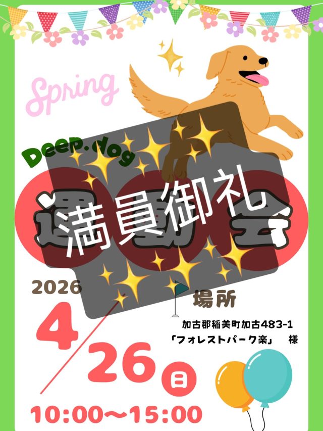 ・

幼稚園初の運動会、満員御礼となりました！
たくさんのご参加、ありがとうございます✨

参加犬と飼い主さんが安全に楽しめるイベントになるように、心を込めて準備中です🤭

#犬の幼稚園 #犬の幼稚園deepdog #犬の運動会