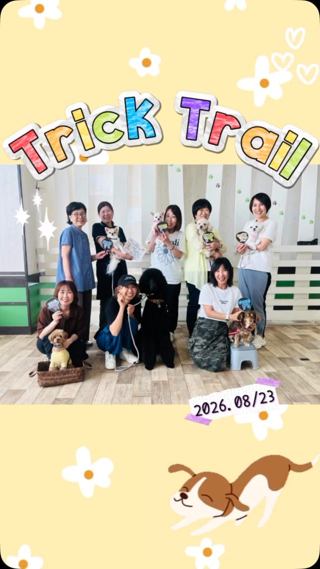 .
🐾✨ Trick Trail EVENT ✨🐾
2026.8/23

ついに本番の日を迎えました！
この日のために、みんな一生懸命練習してきたトリックトレイル🏆

本番は少し緊張した様子もありましたが、練習の成果を発揮しながら、ひとつひとつの種目に楽しくチャレンジしてくれました💪

それぞれのペースで最後まで頑張る姿に、スタッフもたくさんの感動をもらいました👏

愛犬との絆もさらに深まった素敵なイベントになりました💐

ご参加いただいた皆様、ありがうございました！
来年のトリックトレイルもたくさんの方の挑戦お待ちしております🐾

#トリックトレイル
#TrickTrail 
#ドッグトレーニング
#犬の幼稚園
#deep.dog