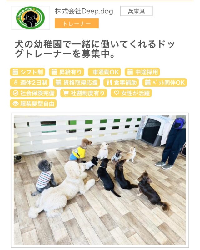 ・

✨✨求人募集✨✨

おかげさまで多くの幼稚園生が通ってくれており、新規入園のお問い合わせも数多くいただいております。
現在のスタッフだけでは入園をお断りせざるを得ない事態が増えてきてしまいました。

登園している幼稚園生を安全にお預かりするため、また、より多くの幼稚園生を迎え入れる体制を整えるため、ドッグトレーナーを募集いたします。

ご応募、お問い合わせはDMにてお願いいたします。
素晴らしいドッグトレーナーとの出会いを楽しみにしております✨

#犬の幼稚園 
#犬の幼稚園deepdog 
#求人募集 
#ドッグトレーナー求人